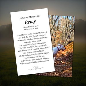 Op de afbeelding: Een herdenkingskaart met de tekst "In Loving Memory Of Remy" en een foto van een witte hond met een rode halsband in een bosrijke omgeving. De kaart bevat een gedicht over het leven en overlijden van de hond, met de data 17 november 2009 - 11 oktober 2025.