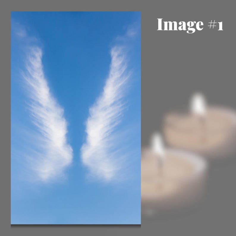 pet memorial funeral service card