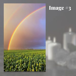 pet memorial funeral service card