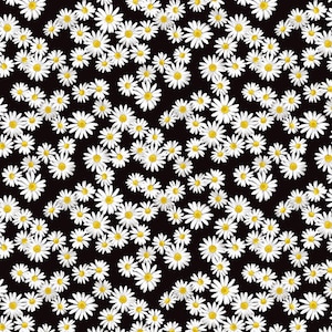 May include: A repeating pattern of white daisies with yellow centers on a black background. The flowers are densely packed, creating a floral design suitable for fabric or wallpaper.