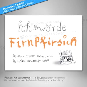Einladungen 44. Geburtstag, Schnapszahl, Vierundvierzigster Geburtstag lustige Einladung, Witzige Einladungskarte, Postkarte