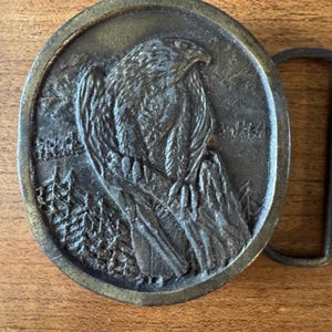 Vintage Falcon Bird in the Mountains Scene 1977 Belt Buckle by Indiana Metal Craft - Cottage Core