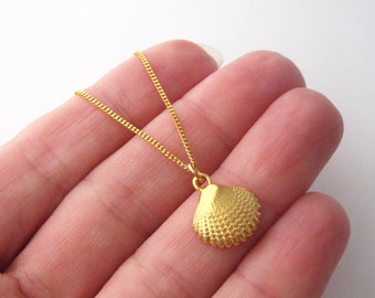 24k Gold Plated Shell Pendant Necklace