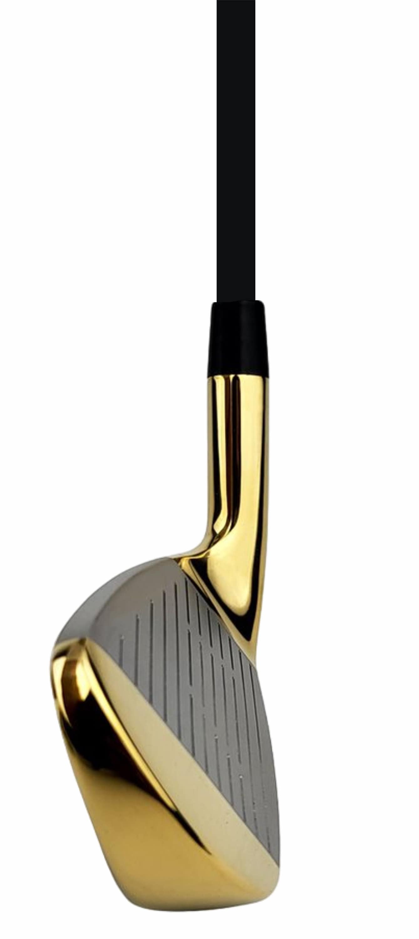 Pacific Golf Clubs-men's FLT-1 Gold Premium Iron Set #6-SW Senior