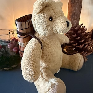 Birch Bark Backpack and Bear