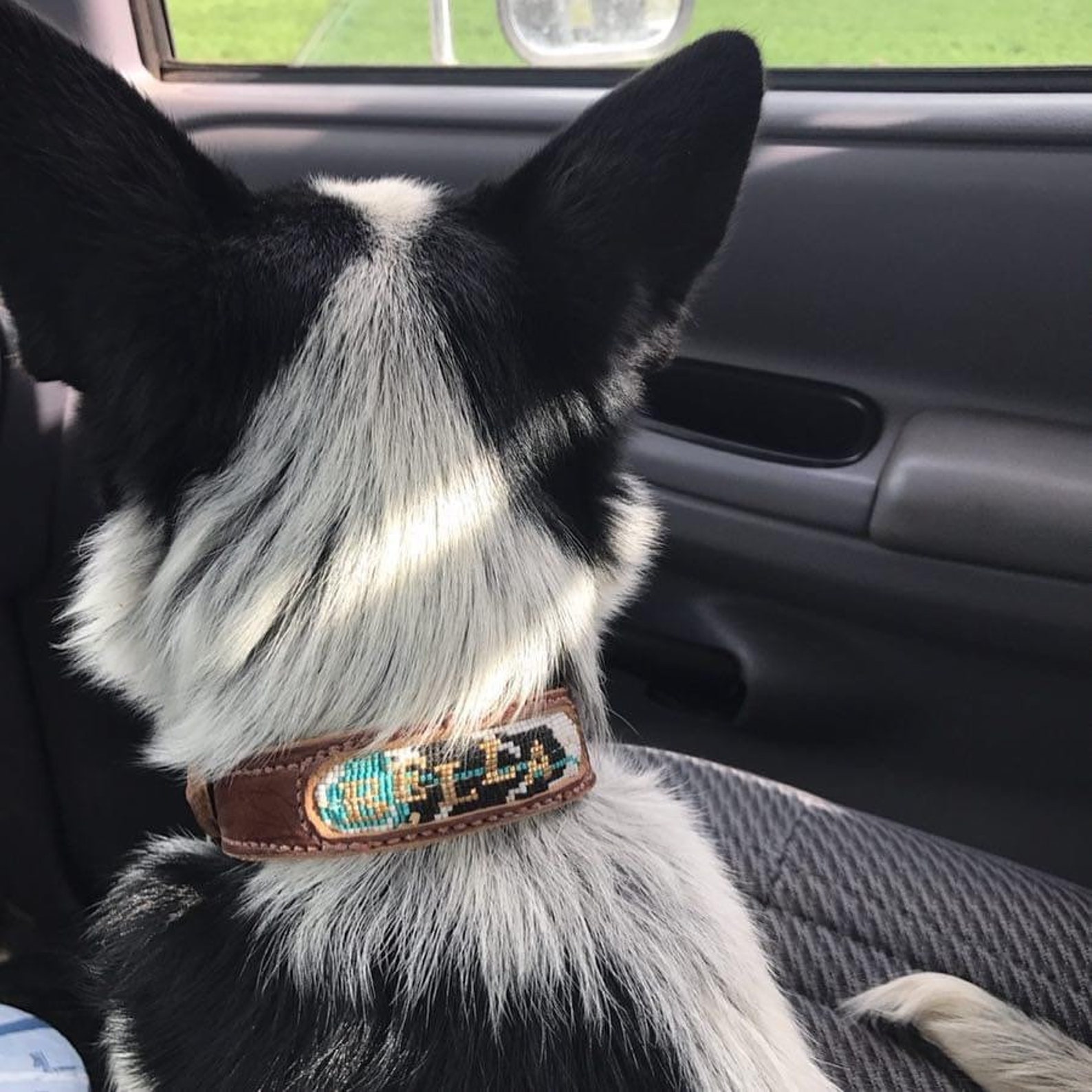 Custom Beaded Dog Collar Etsy