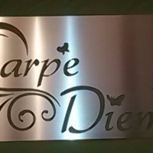 CARPE DIEM Schild Edelstahlschild Bild 1