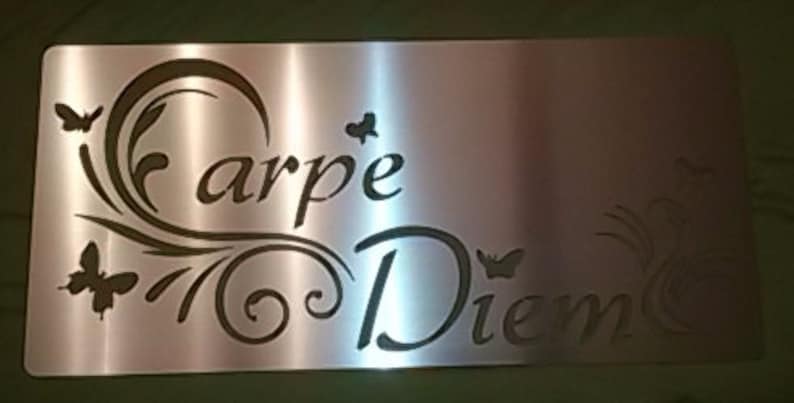 CARPE DIEM Schild Edelstahlschild Bild 1