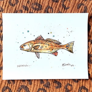 Redfish Art, Redfish, Redfish Print, Redfish Artwork, Redfish Drawing, Marine Art, Fish Drawing, Redfish, Florida Fish, Florida Fishing Art