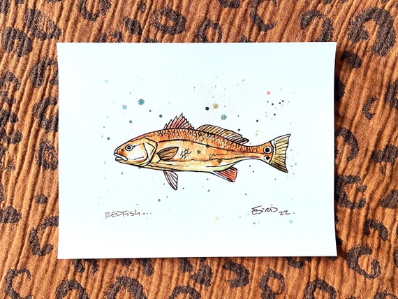 Redfish Art, Redfish, Redfish Print, Redfish Artwork, Redfish Drawing,  Marine Art, Fish Drawing, Redfish, Florida Fish, Florida Fishing Art