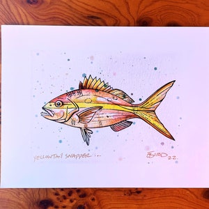 Yellowtail Snapper, Florida Art, Florida Fish, Fishing, Fish Drawing, Fish Artwork, Snapper Drawing, Snapper Watercolor