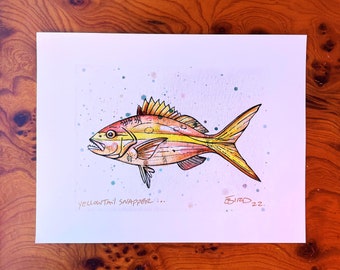 Pargo de cola amarilla, Arte de Florida, Peces de Florida, Pesca, Dibujo de peces, Arte de peces, Dibujo de pargo, Acuarela de pargo