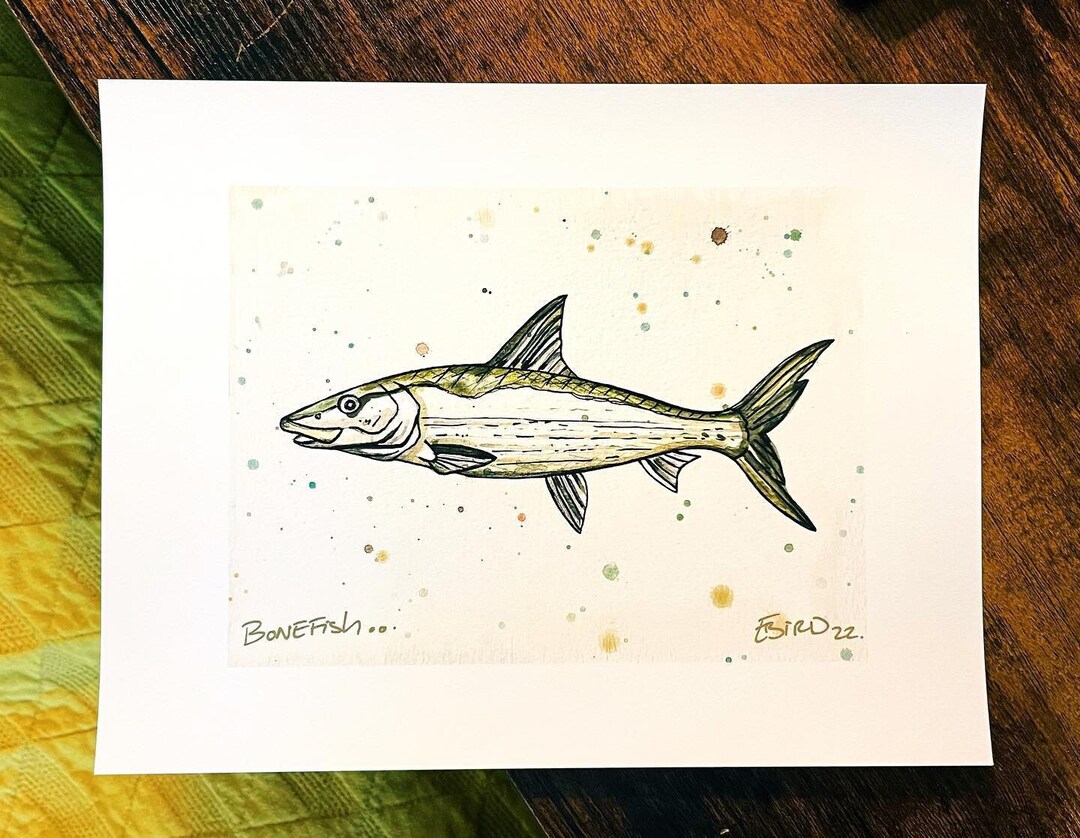Bonefish, Bonefish Drawing, Bonefish Artwork, Drawing, Painting