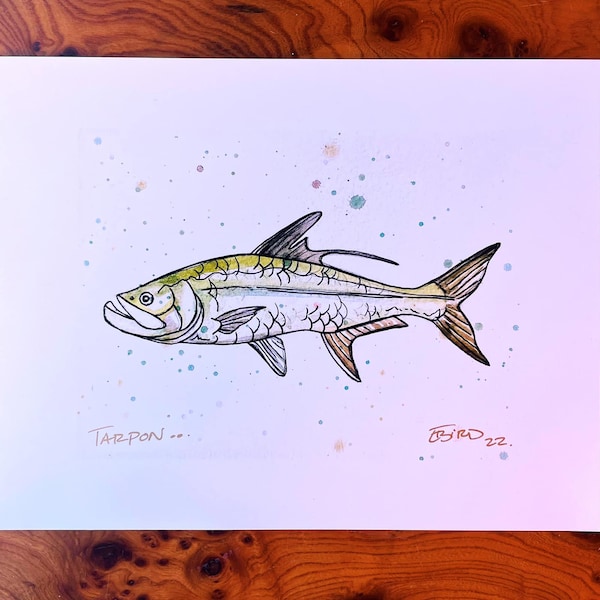 Tarpon Art - Etsy