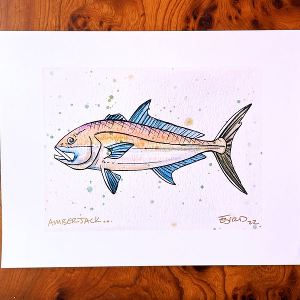 Amber Jack, Amber Jack Fish, Amber Jack Artwork, Amber Jack Art, Florida Fishing, Florida Fish, Nautical Art, Marine Artwork, Marine Art