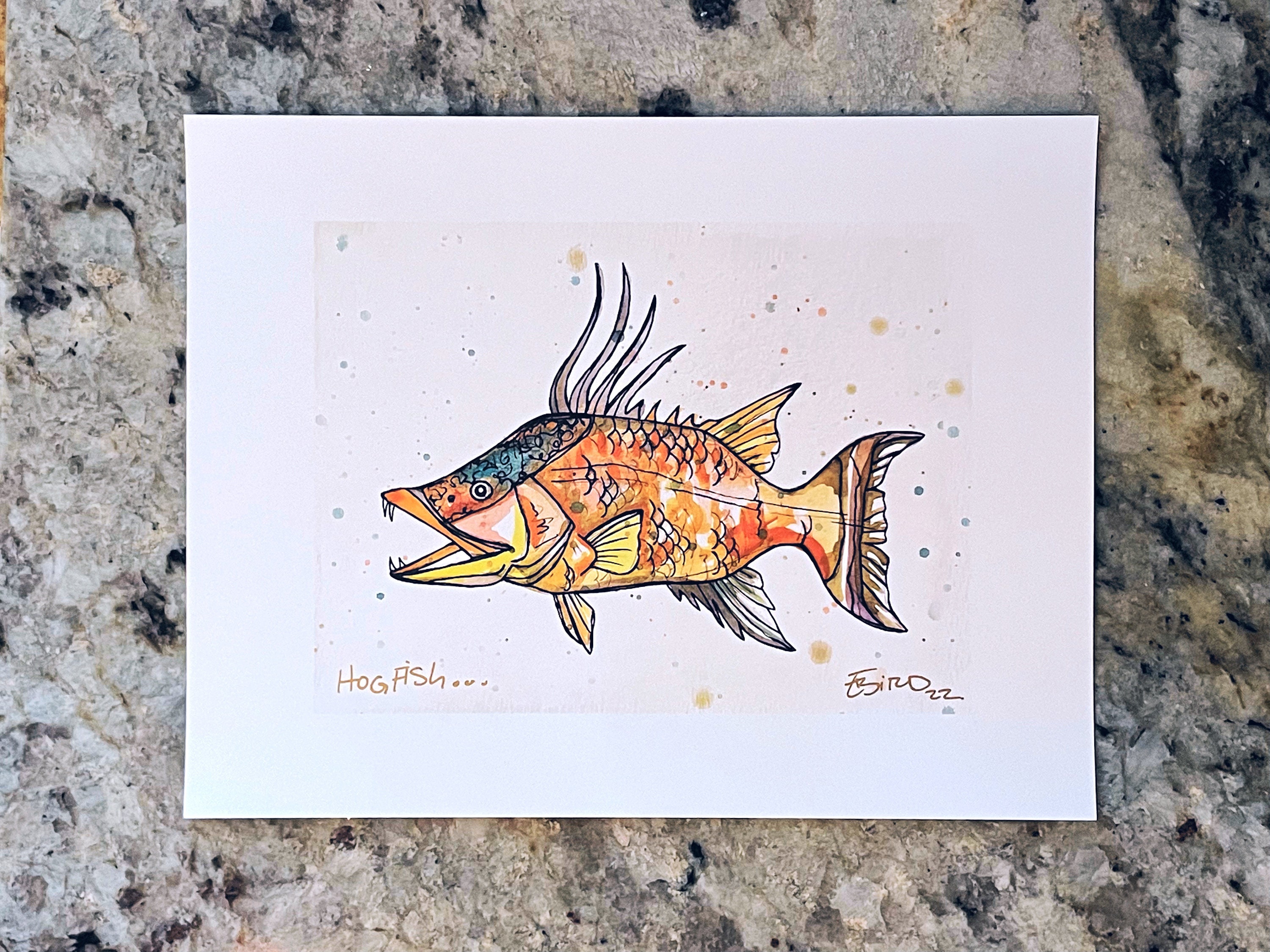 Hogfish, Hogfish Art, Watercolor Hogfish, Fish Prints, Fish Art, Room