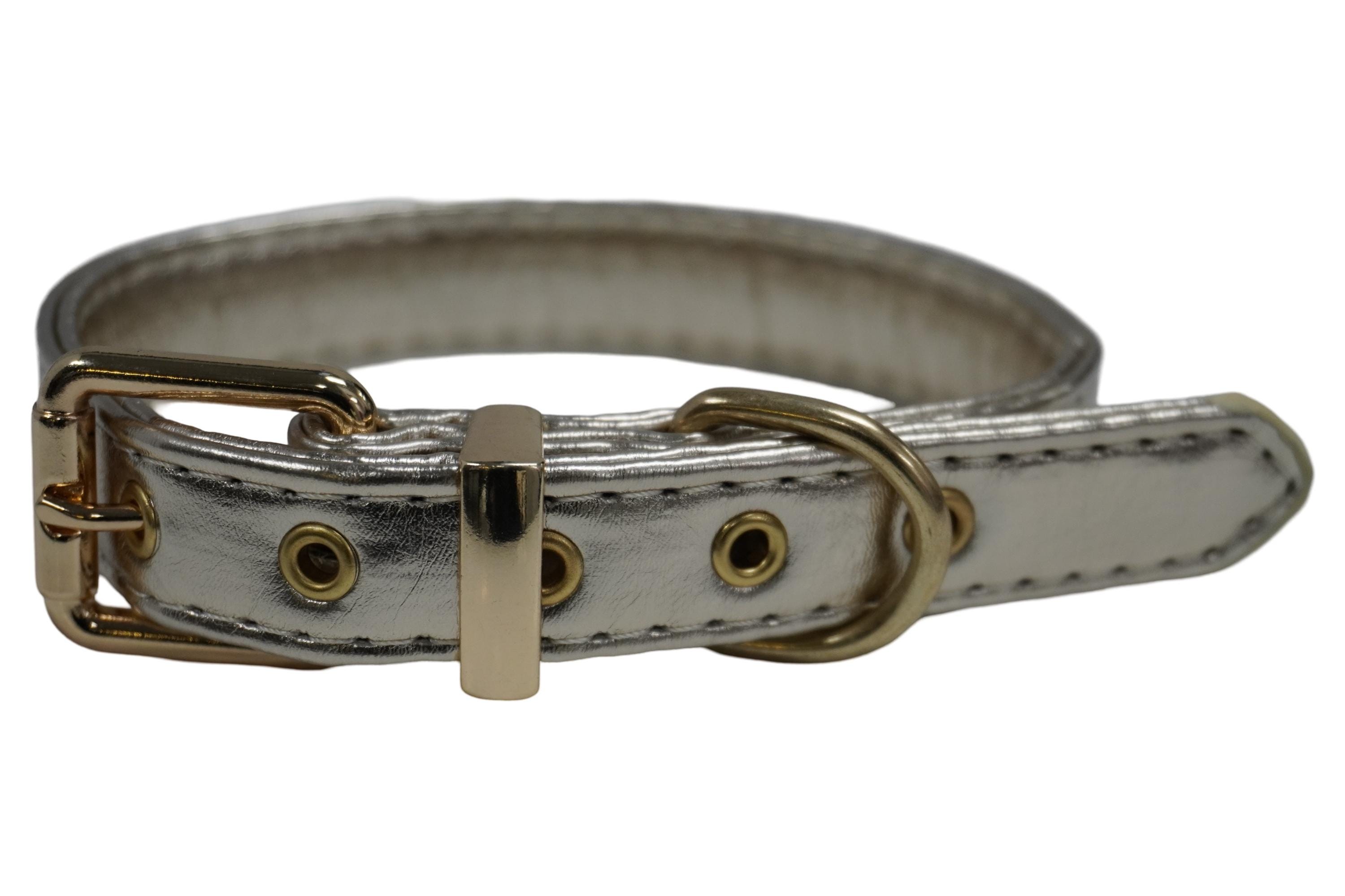 Dog collar chanel hotsell