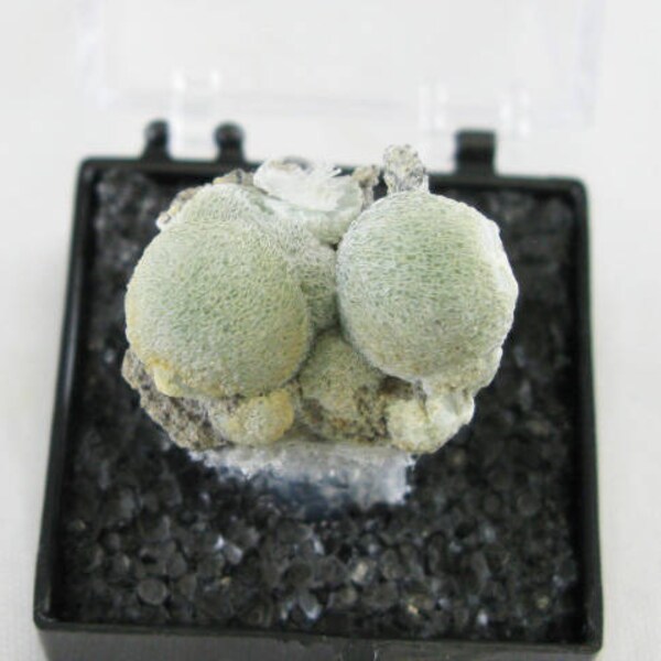 Wavellite- Arkansas. Beautiful natural green crystal ball sphere botryoidal Thumbnail Rock and Mineral Specimen. Chakra healing wire  M11128