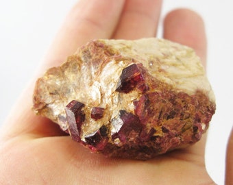 1.7" Red Liddicoatite Tourmaline 40g - Madagascar. Beautiful natural purple red rubellite crystals. Mineral Specimen. Rubelite. Q112027