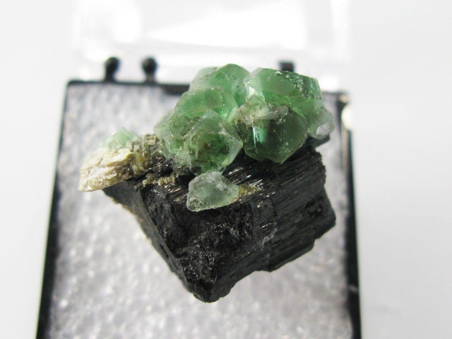 Alien eye fluorite - Etsy 日本