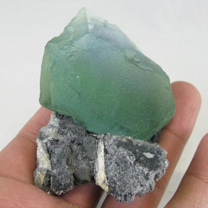 May include: A vibrant green fluorite crystal specimen. The crystal is a translucent green with a hint of blue, resting on a matrix of gray rock. The mineral is held in a hand, showcasing its natural beauty.