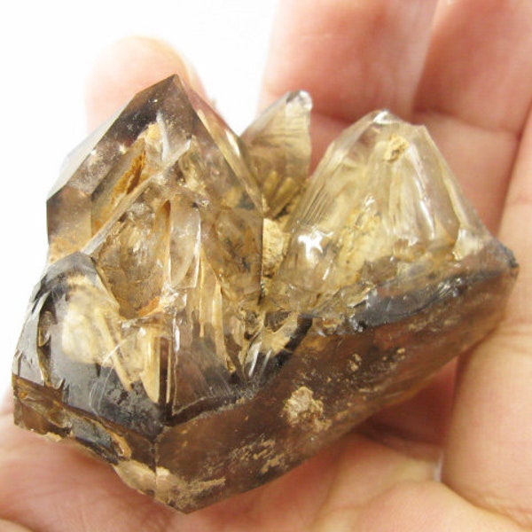 1.9" Brandberg Fenster Smoky Quartz -Goboboseb, Namibia- 83g smokey crystal Rock Mineral Specimen elestial Chakra Healing Reiki M63B07