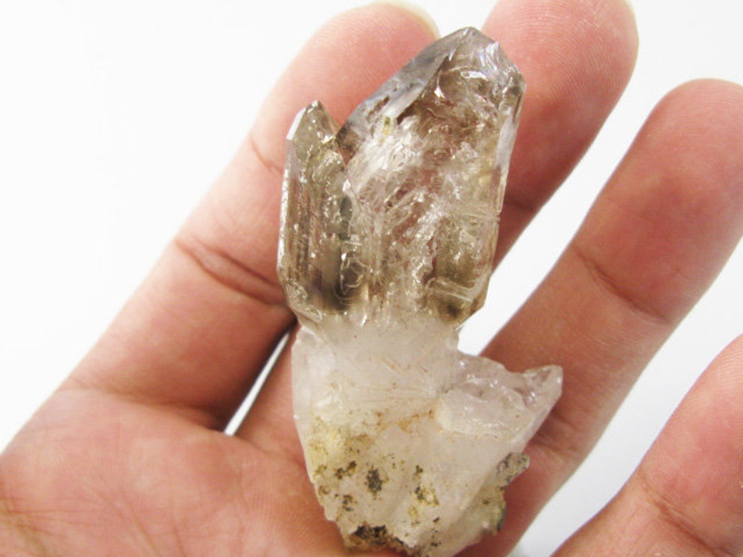 2.6インチ ENHYDRO セプター ブランドバーグ フェンスター スモーキー