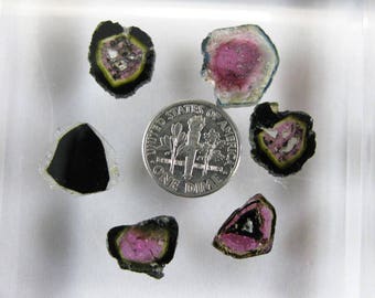 24.4 ct Liddicoatite Tourmaline Slice Set of 6- Madagascar. Matched Mineral Specimen for wire wrapping. Particolor watermelon M41110