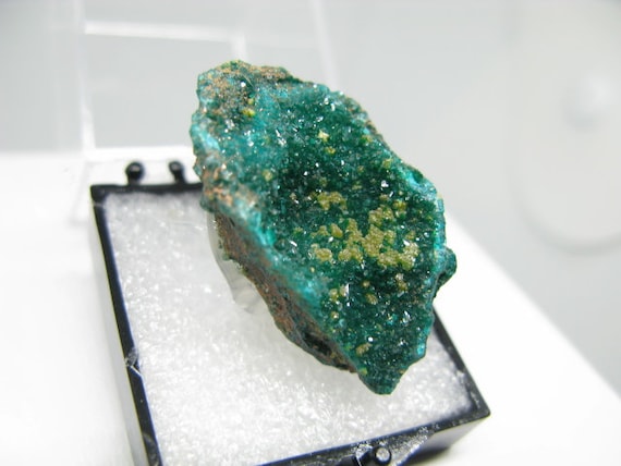 F83538 Dioptase crystal mineral specimen from Republic of Congo 27mm x 24mm x 19mm 6.9gm