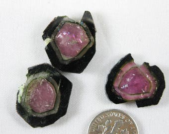 35 ct Liddicoatite Tourmaline Slice Set of 3- Madagascar. Rock and Mineral Specimen for wire wrapping. Particolor watermelon M4801