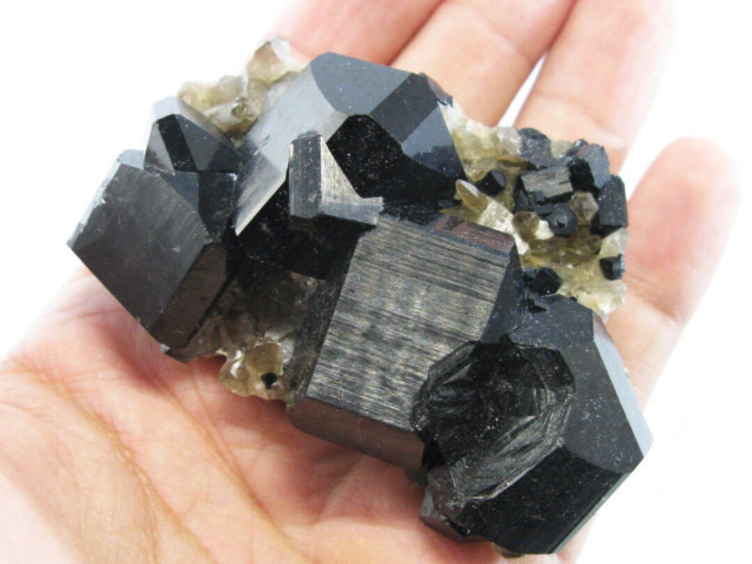 2.9インチ ショール トルマリン & クォーツ - エロンゴ ナミビア