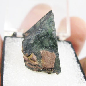 以下が含まれることがあります： 鋭く尖った形の濃い緑色、黒色、茶色の結晶。結晶は白い線が入った小さな箱に展示されています。