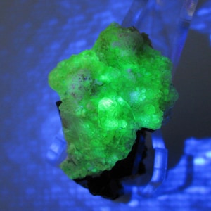 1.7&quot; Fluorescent Hyalite Opal & Schorl Tourmaline - Erongo Namibia- 24g black Mineral Specimen fluorescent Charka N44B25