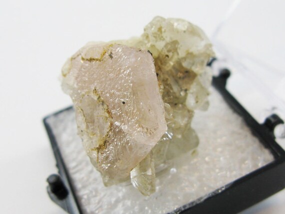 ボリビア産アパタイト アパタイト - ボリビア。美しい天然のピンク色の結晶。クォーツの