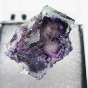 Fluorite- Yindu Mine, Inner Mongolia, China . Beautiful green purple crystals Thumbnail Rock Mineral Specimen phantom Healing M1115-74