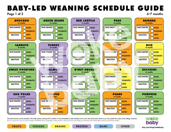 Baby Led Weaning Plant-based Vegan Food Checklist PDF 