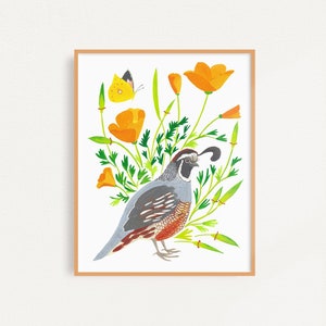 California Quail Art Print: Poppy and Butterfly Giclée