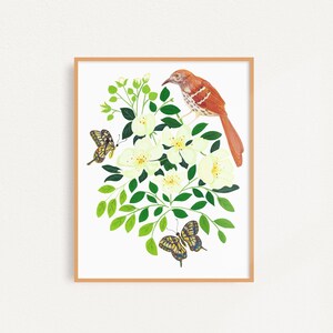 Brown Thrasher Bird Art Print: Cherokee Rose & Butterfly