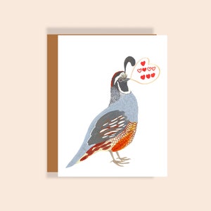 Cartes Oiseaux de la Saint-Valentin | Tweets d'amour de caille | Lot de cartes de Saint-Valentin pour les amoureux des oiseaux