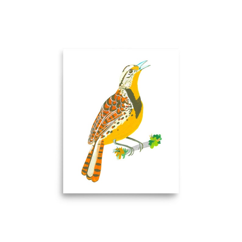Meadowlark Bird Art Texas Bird Art Print Watercolor Home Etsy