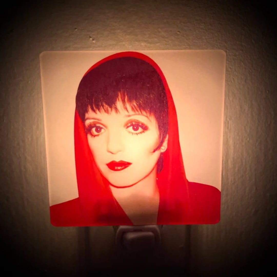 Night Light for Liza Minnelli Fan Housewarming Gift Home Decor Warhol