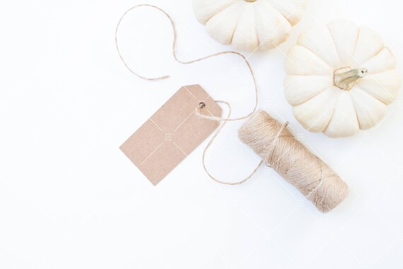White Pumpkin Photo Stock Photos Flat Lays Fall Blogger White Pumpkin Photo Stock Photos Flat Lays Fall Blogger