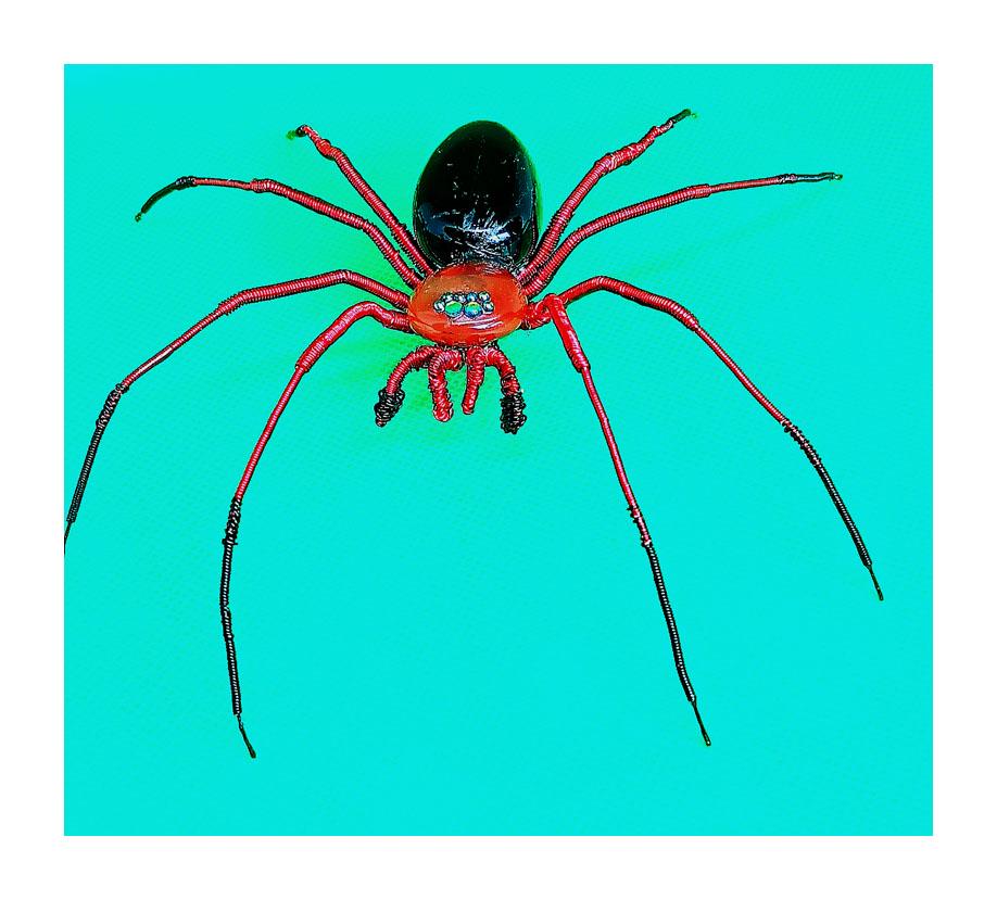Red & Black Wandering Spider Model - Etsy