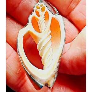May include: A pendant necklace featuring a natural seashell design. The pendant is cream and orange, with a spiral interior and a silver-coloured metal border. The necklace is on a silver chain.