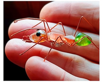 Hormiga arborícola verde - Modelo magnético de cabeza dorada