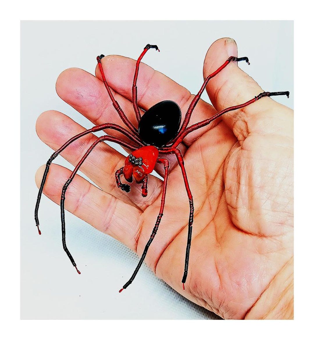 Bigger Red & Black Wandering Spider Magnetic Model - Etsy Israel