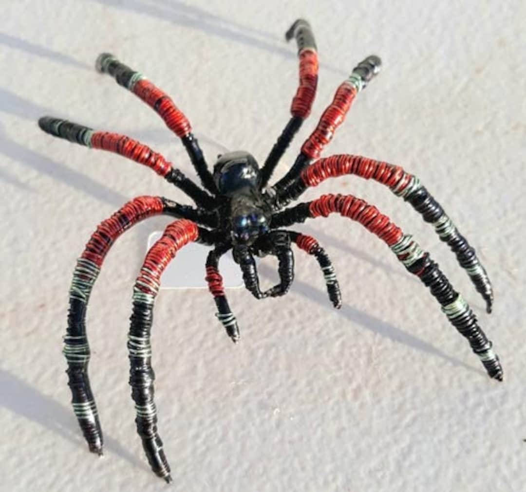 Mexican Red Knee Tarantula Etsy