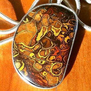 May include: A pendant necklace featuring a large, polished stone with a unique pattern of brown, yellow, and orange hues. The stone is set in a silver-colored metal frame and hangs from a silver chain. The pendant has an organic, abstract design.