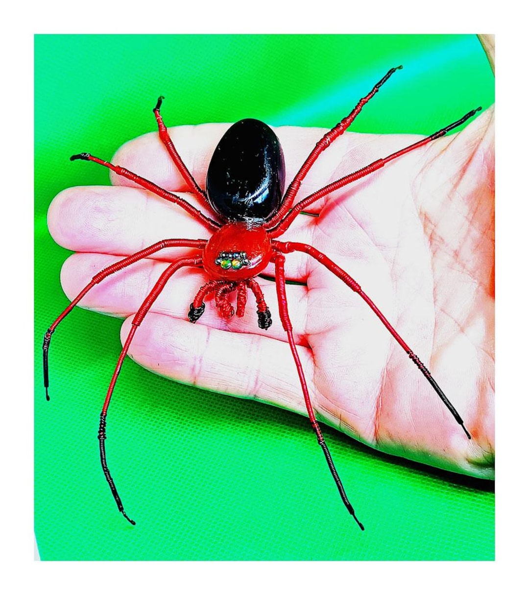 洋楽 RED SPIDER BAYSIDE JENNY LIVE CD Red & Black Wandering Spider Model - Etsy