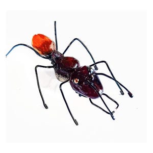Puede incluir: Una escultura de metal de una hormiga negra y roja con detalles precisos. La hormiga tiene una cabeza roja y un cuerpo negro con un acabado brillante.